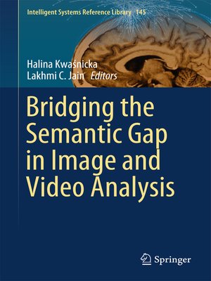 cover image of Bridging the Semantic Gap in Image and Video Analysis